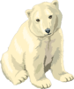 Sitting Polar Bear Cub Clip Art